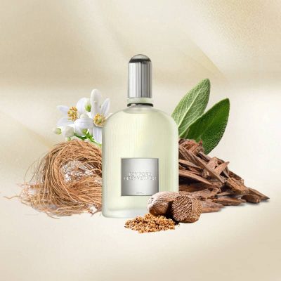 عطر خالص تام فورد گری وتیور | Tom Ford Grey Vetiver EDP